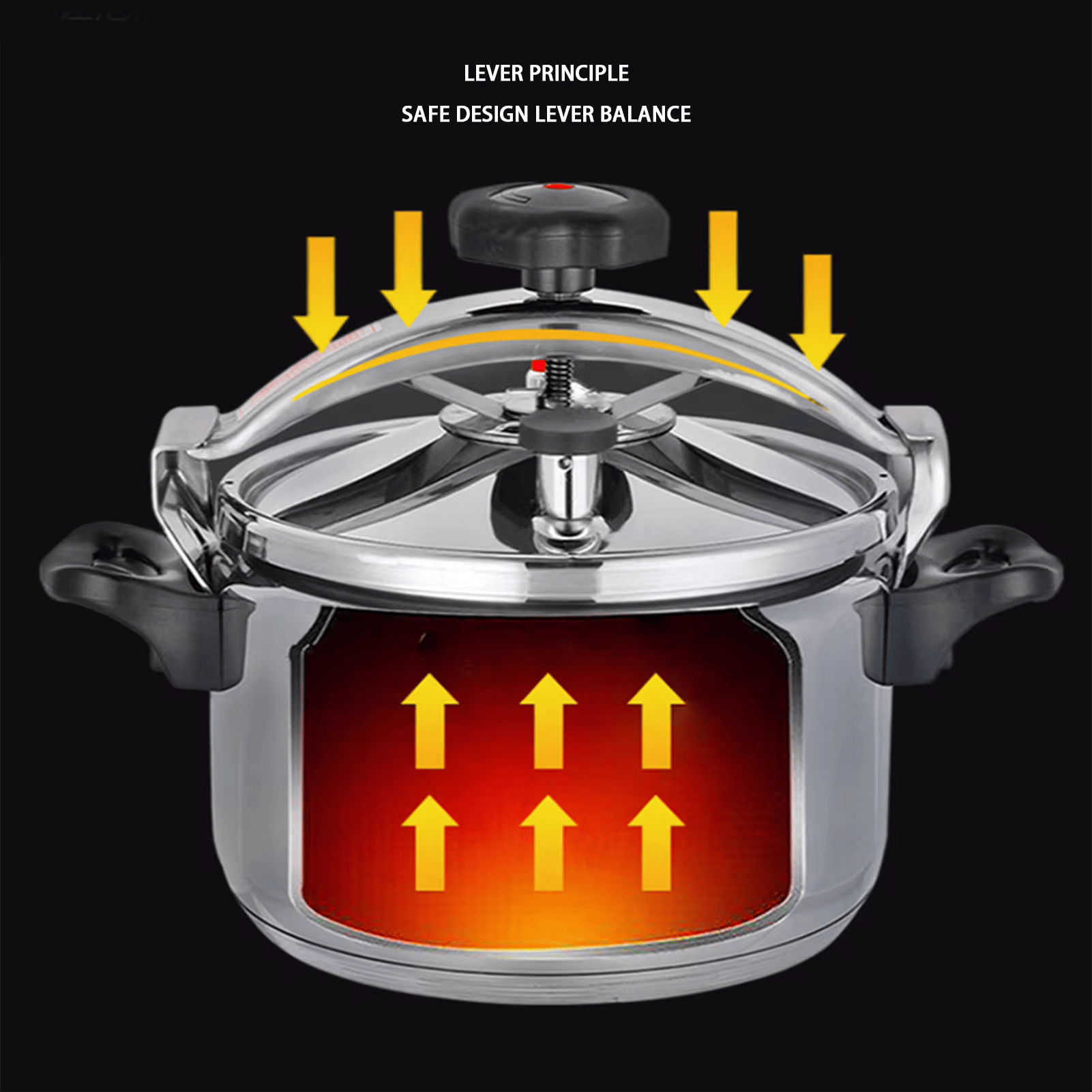 Stainless Steel Pressure Cooker